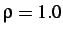 $ \rho = 1.0$